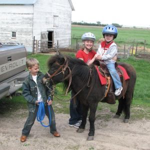 Meet your Posher, Michelle